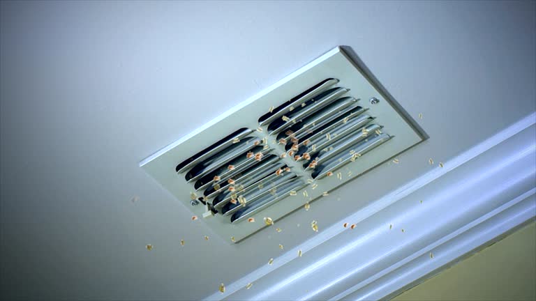 Best Commercial Air Duct Cleaning  in Rockford, MN