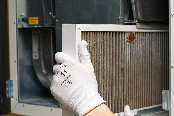 Best Affordable Duct Cleaning Services  in Rockford, MN