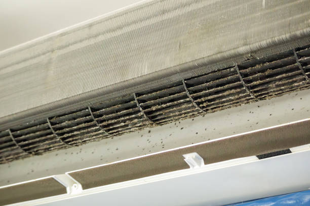 Best Air Duct Sanitizing Services  in Rockford, MN