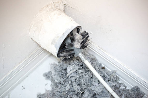 Best Air Duct Mold Removal  in Rockford, MN