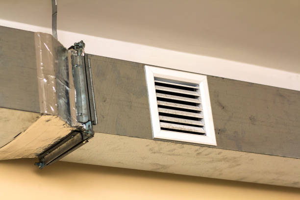 Best Local Air Duct Cleaning Services  in Rockford, MN